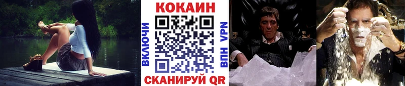 Купить закладки  Любим  Кокаин Fish Scale 