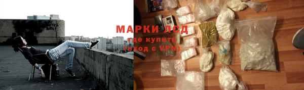 МДПВ Дмитриев