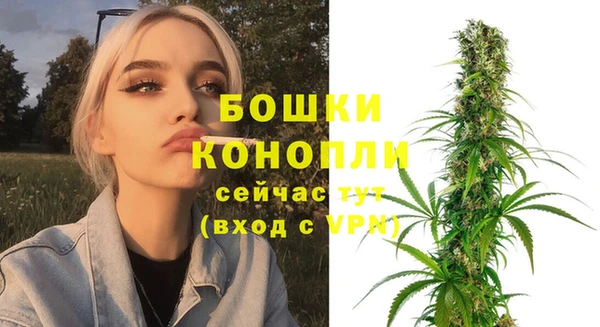 МДПВ Дмитриев