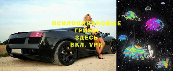 МДПВ Дмитриев