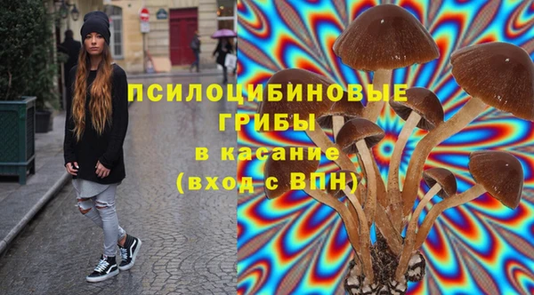 МДПВ Дмитриев